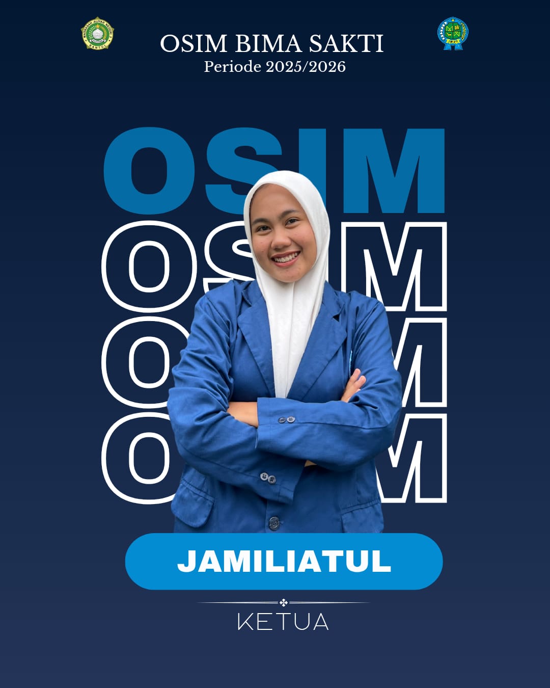 Ketua OSIM